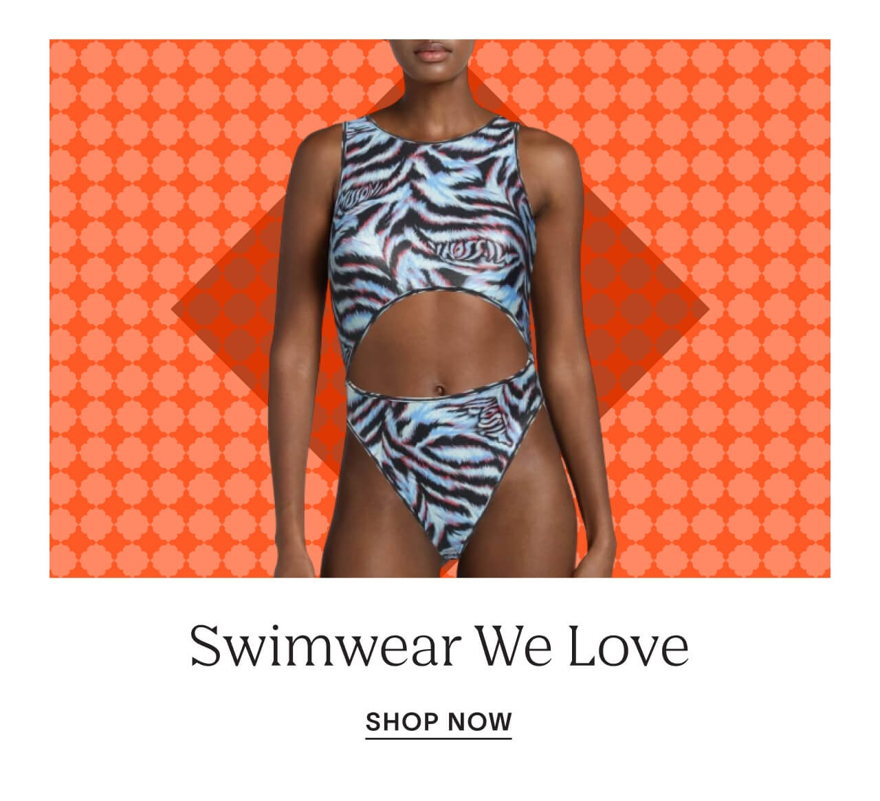 Shop Swimwear We Love