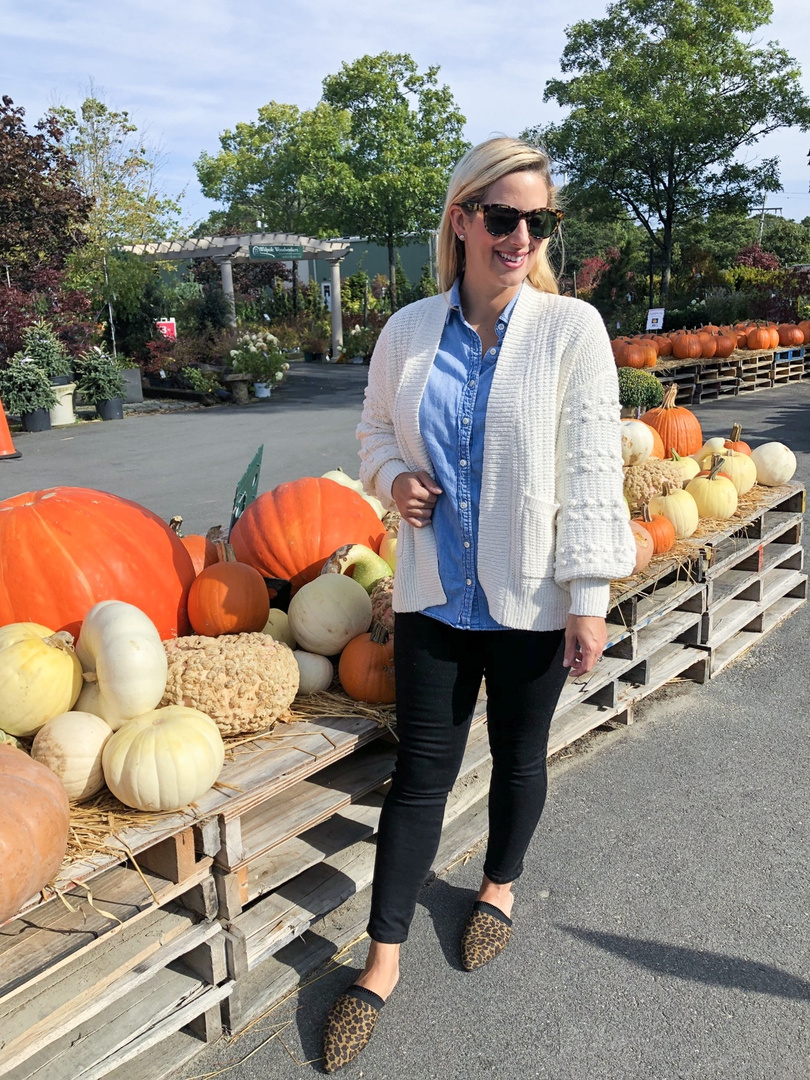 madewell bobble cardigan
