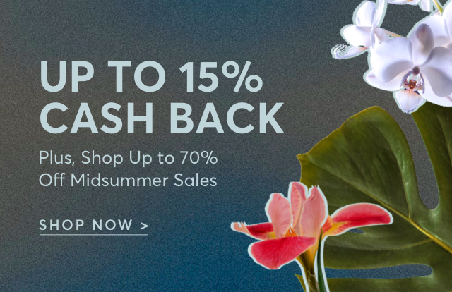 SUMMER SALES TO SHOP NOW