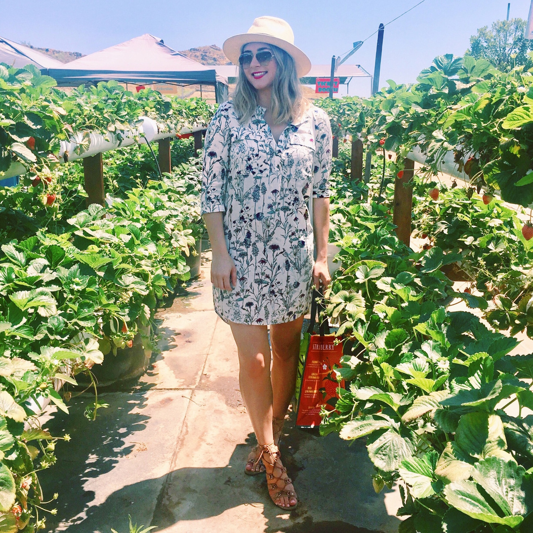 Fashion Look Featuring H&M Day Dresses and J.Crew Hats by Alstrong ShopStyle