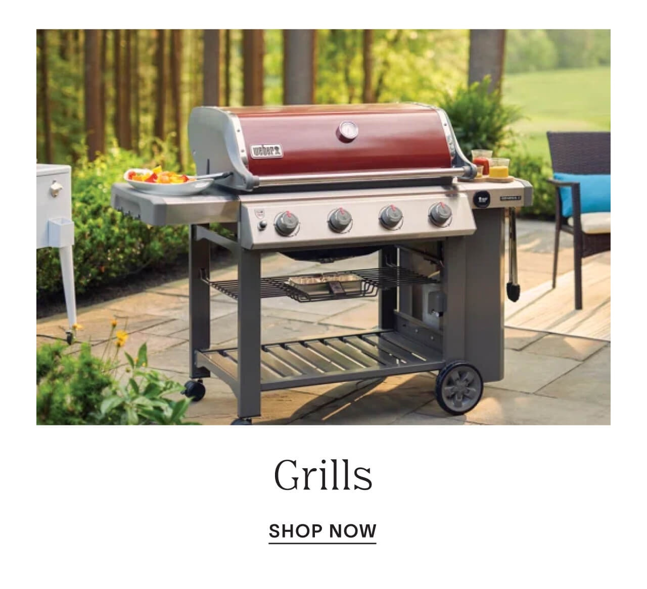 Grills - Shop Now