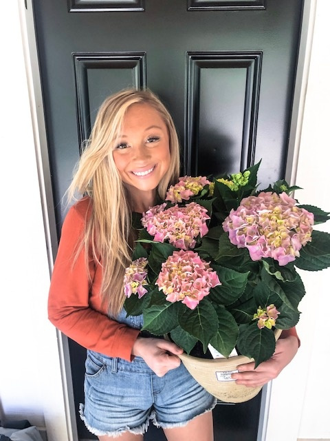 keds spotted platform sneakers