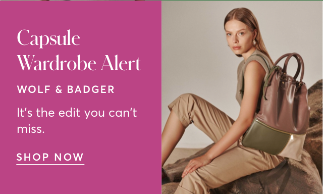 SHOP WOLF AND BADGER