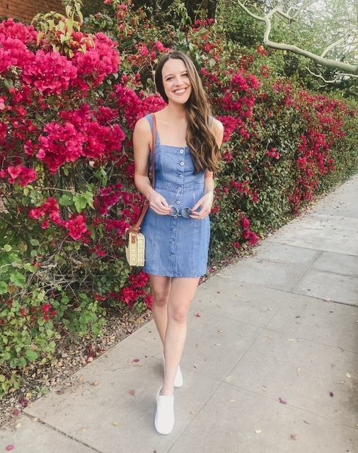 bb dakota jean spirit dress