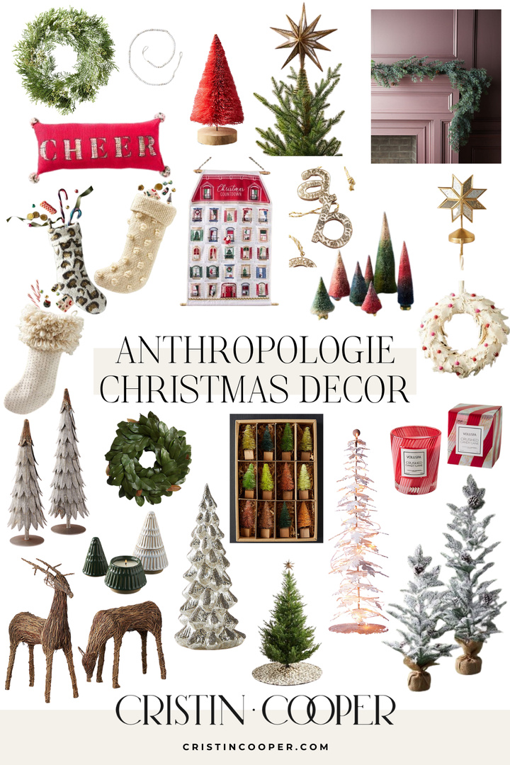 ANTHROPOLOGIE Aster shops Stocking