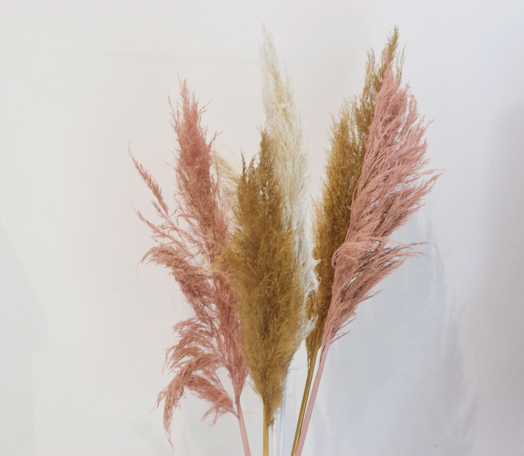 Look by null featuring Dékoala DeKoala - Pampas Grass Dry Bouquet Mix