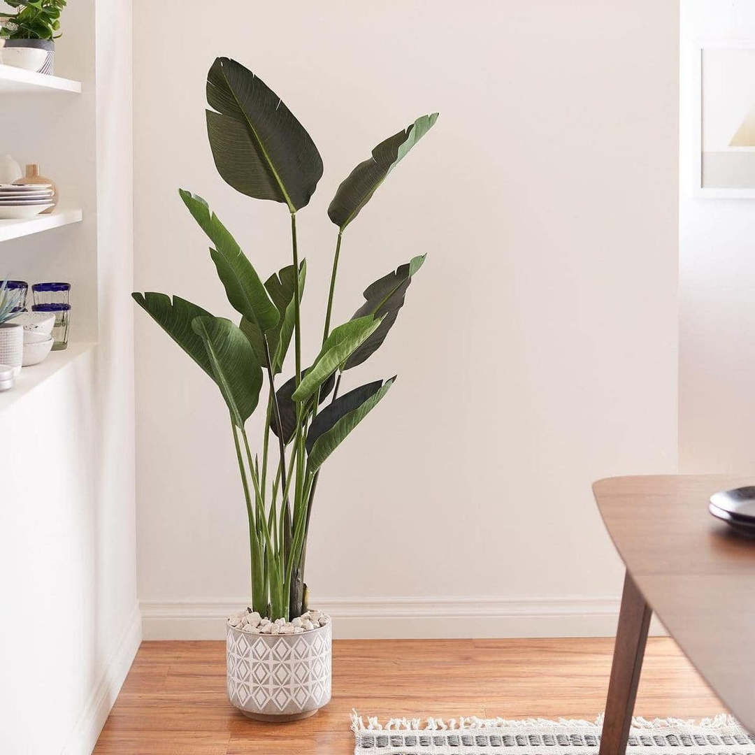 https://i.shopstyle-cdn.com/i/7f668d5f-b367-4fbe-84f2-e1443eb05164/438-438/luckygreenery-artificial-monstera-realistic-fake-plants-with-pots-for-home-and-office-decoration-33in-h-x-22in-w-mintarrow.jpeg