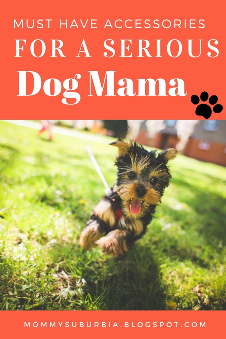 etsy gifts for dog lovers
