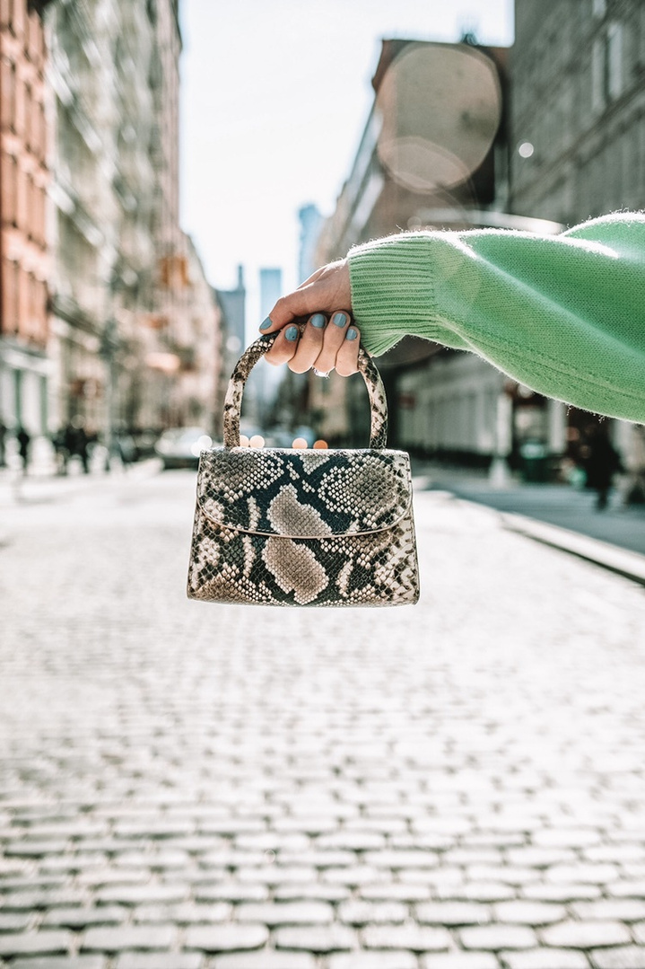 Mini sale snakeskin bag