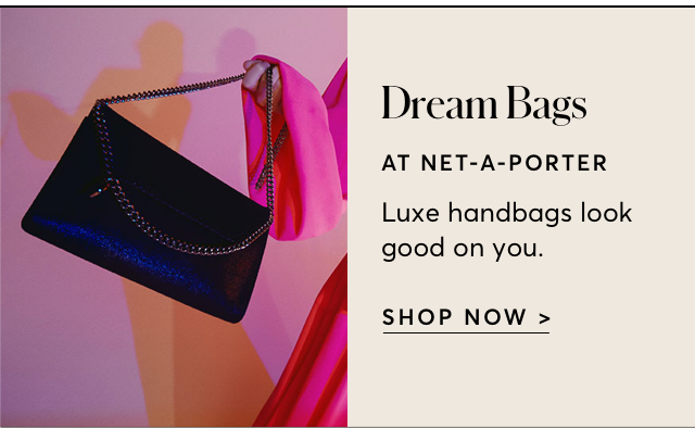 DREAM BAGS AT NET-A-PORTER