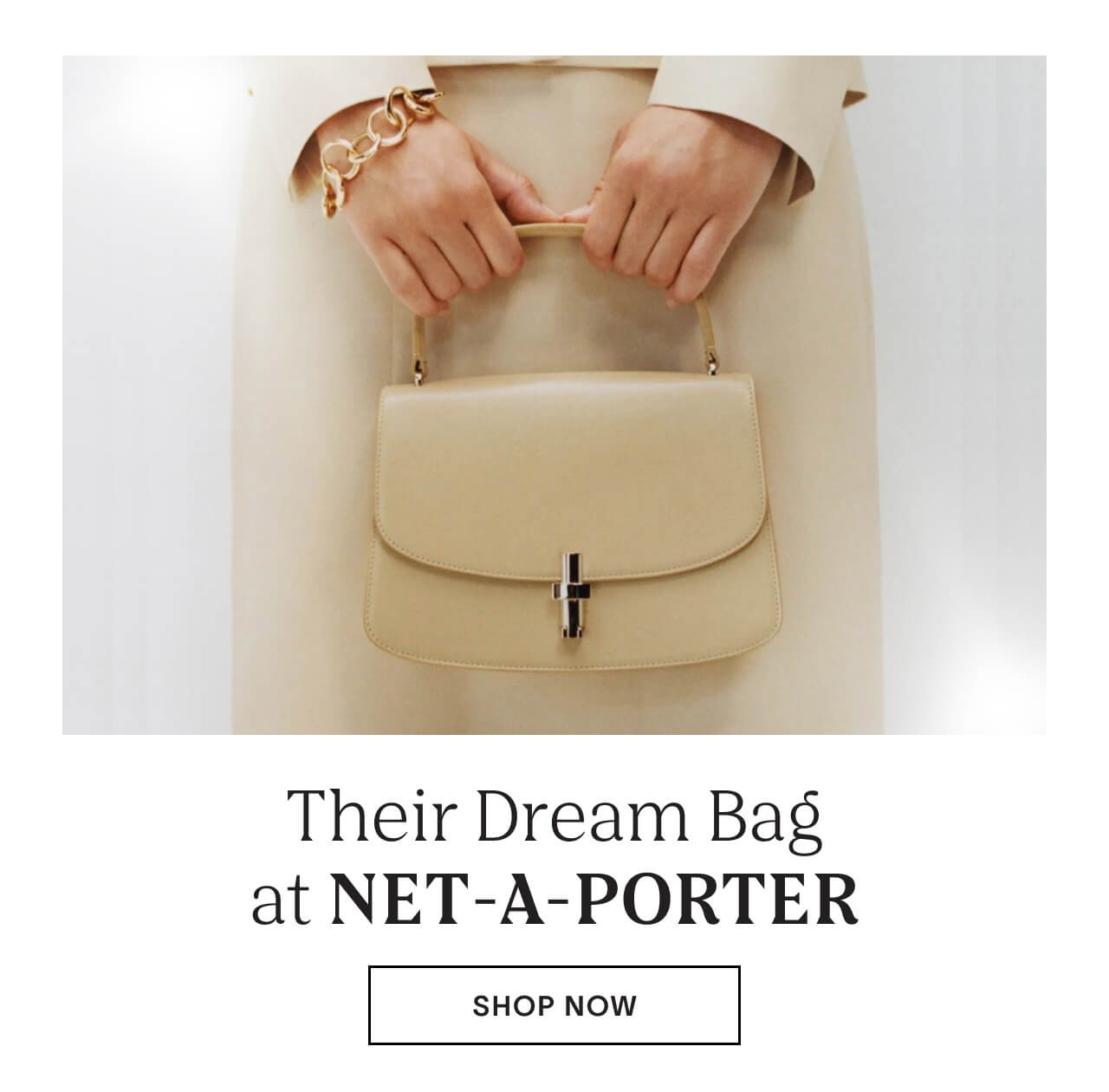 Shop Their Dream Bag at NET-A-PORTER