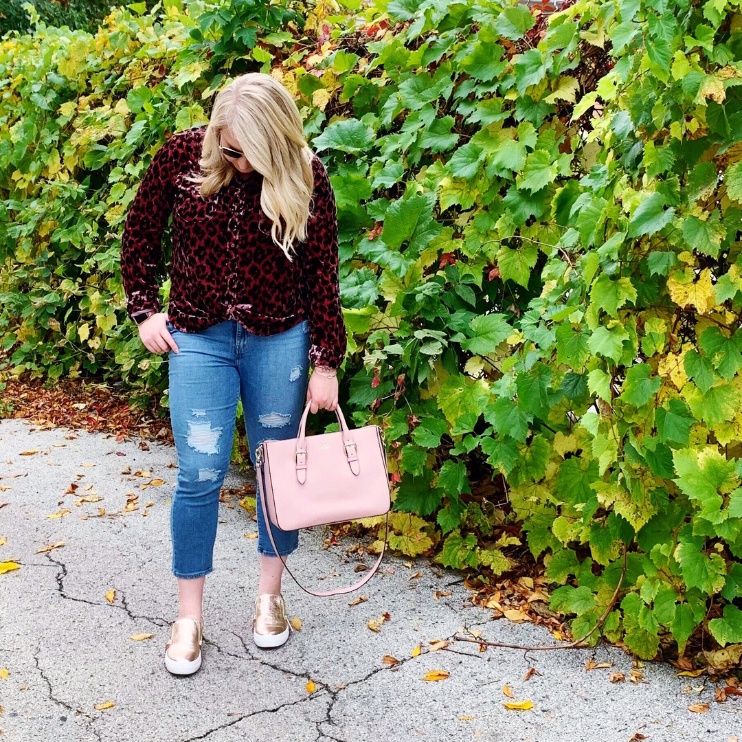 J crew velvet cheap leopard dress