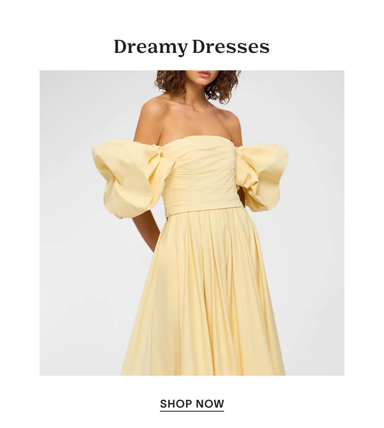 Neiman Dreamy Dressses