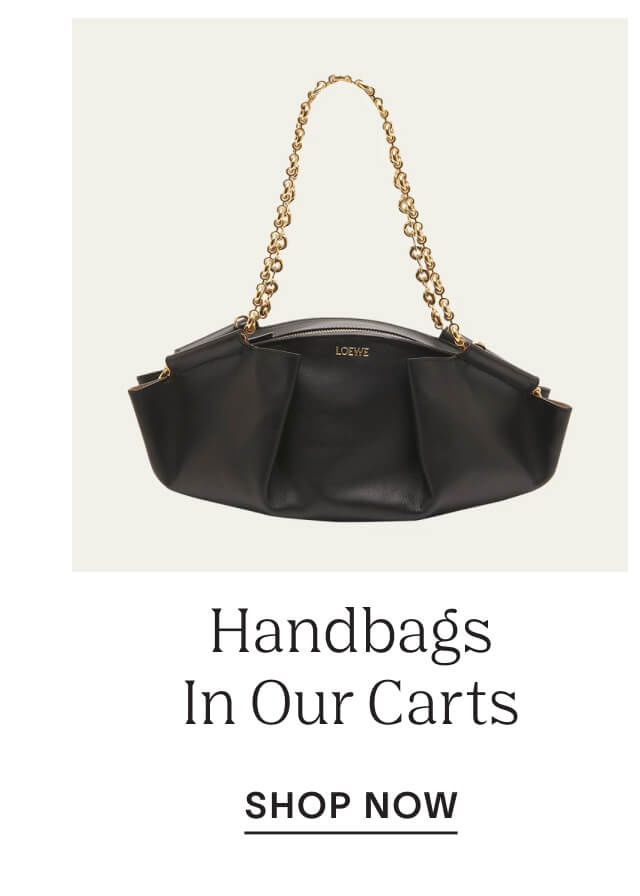 Shop Handbags In Our Carts