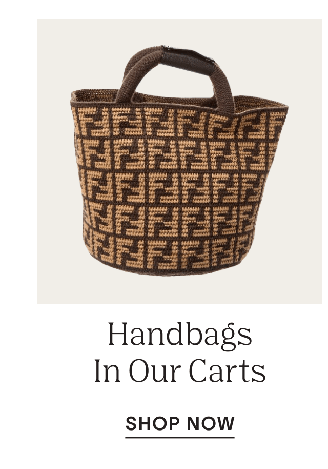 Shop Handbags In Our Carts