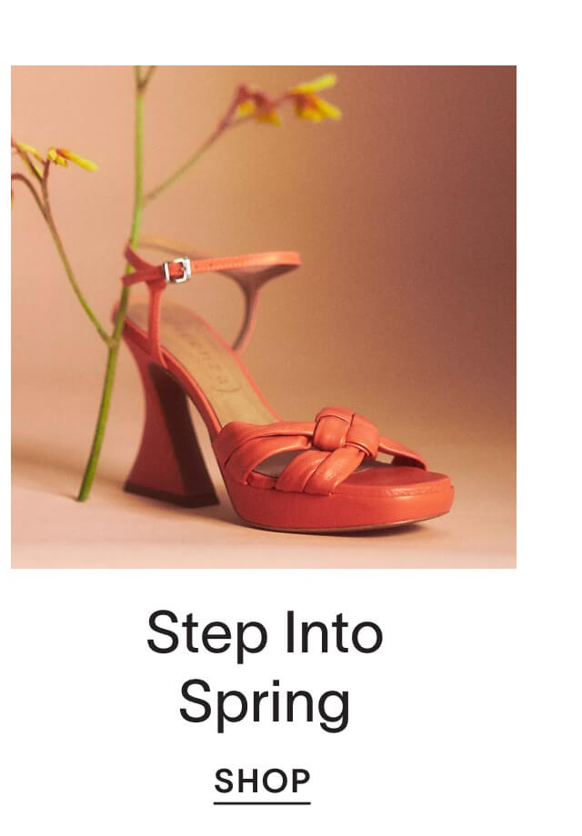 Step Into SPring