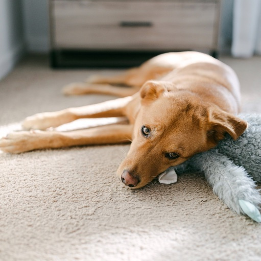 Fashion Look Featuring by poorlittleitgirl ShopStyle