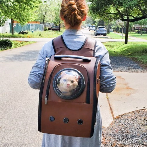 petrip cat backpack