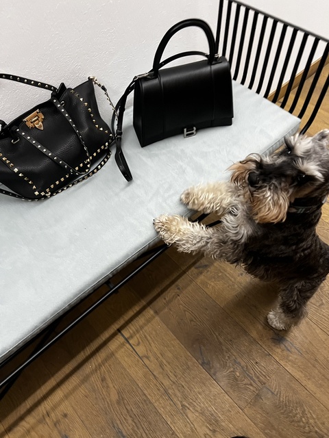 Which bag should I carry today? Balenciaga Hourglass or Valentino Rockstud? #ShopStyle #MyShopStyle