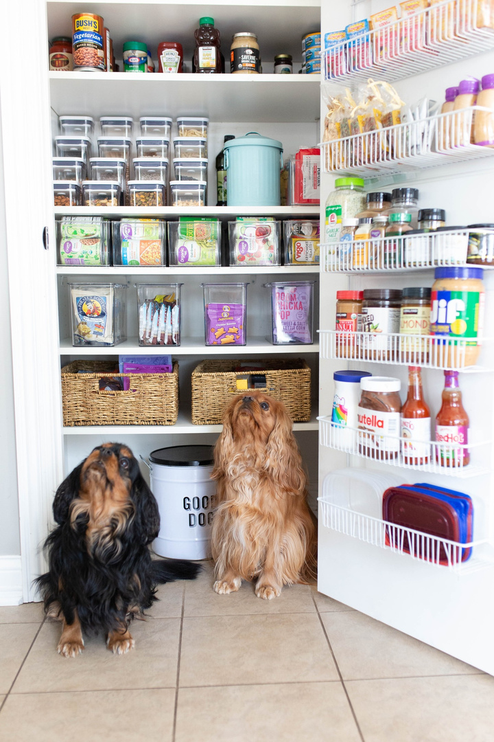 Fashion Look Featuring Harry Barker Pet Health & Grooming and Smart