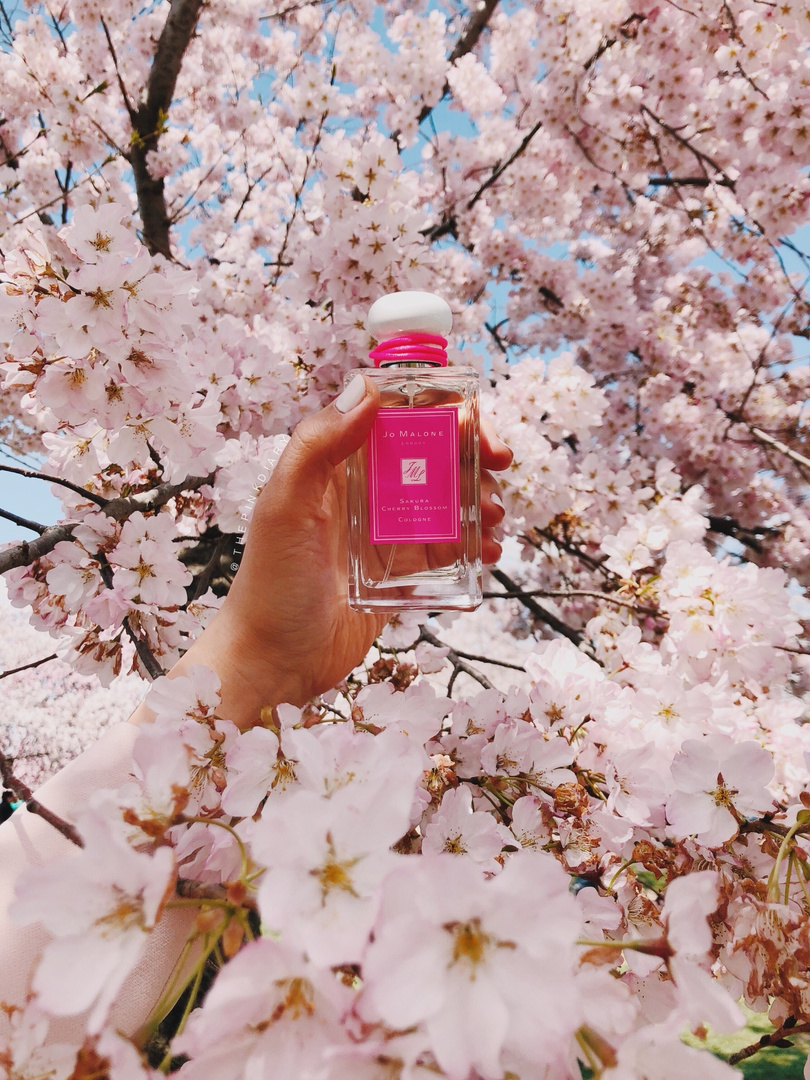 Jo Malone Parfum Sakura Blossom Jo Malone Sakura Cherry Blossom