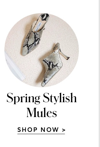 SHOP MULES