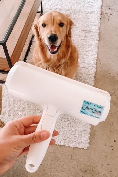 https://i.shopstyle-cdn.com/i/fde4b3da-3573-455f-921d-c7cf5dc34d65/1f4-2ee/chomchom-roller-dog-hair-remover-cat-hair-remover-pet-hair-remover-lizlovery.jpeg